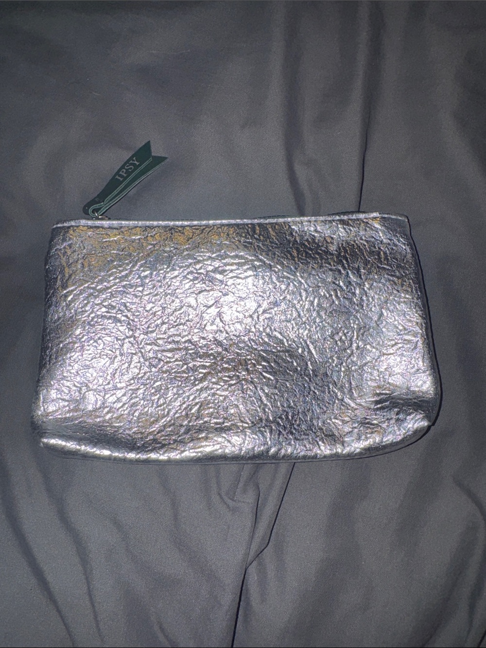 ipsy Iridescent Silver Makeup Pouch